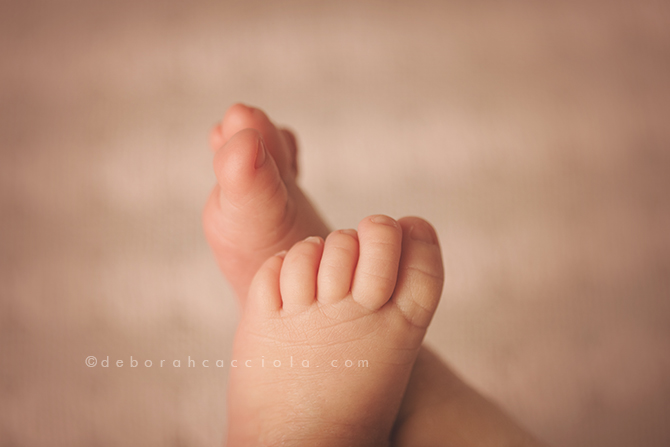 photo pied de bébé
